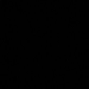 Meet your Posher, Iris